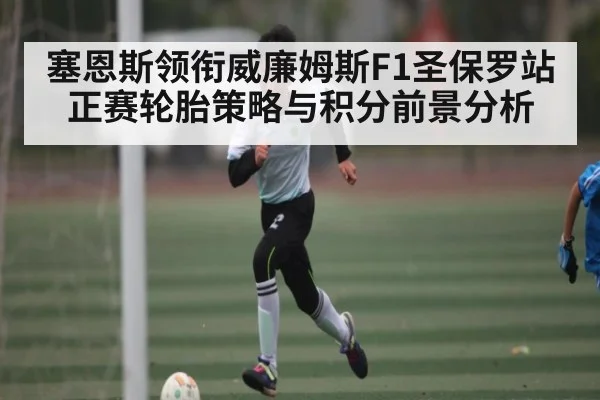 塞恩斯领衔威廉姆斯F1圣保罗站正赛轮胎策略与积分前景分析