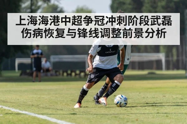 上海海港中超争冠冲刺阶段武磊伤病恢复与锋线调整前景分析